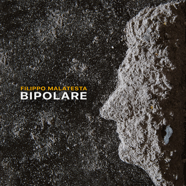 Bipolare cover art