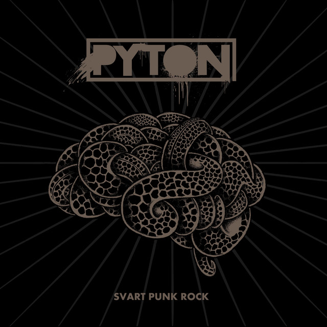 Svart Punk Rock cover art