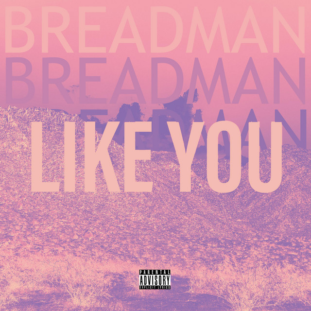 LIKE YOU cover art
