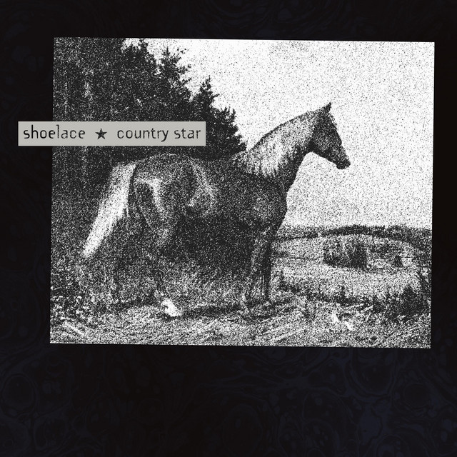 Country Star (Demo) cover art
