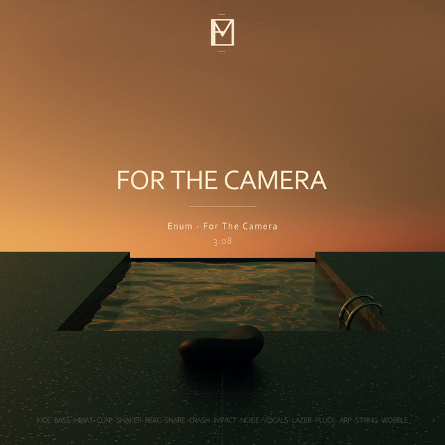 For the Camera