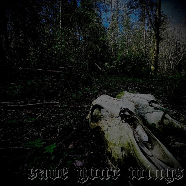 Volition cover art