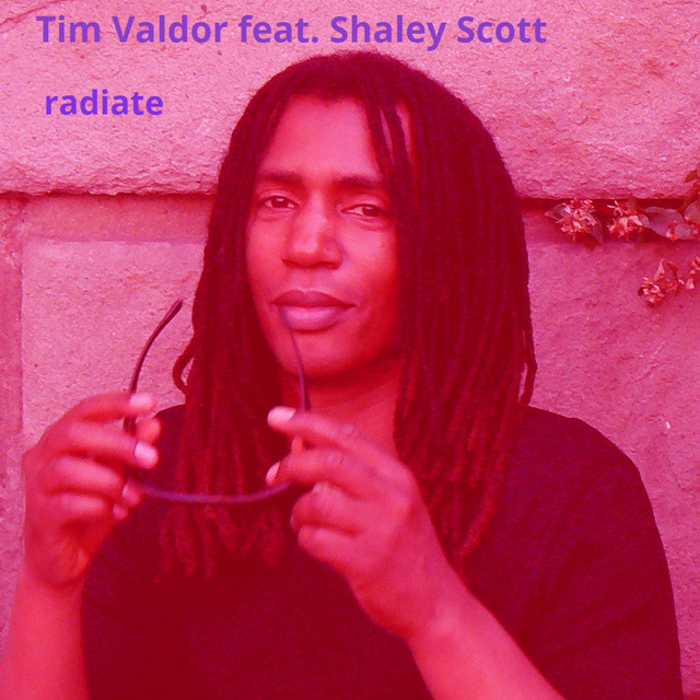 Radiate - Single by Tim Valdor | Spotify