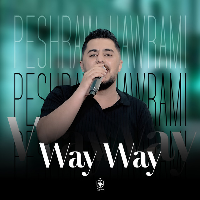 Way Way album image