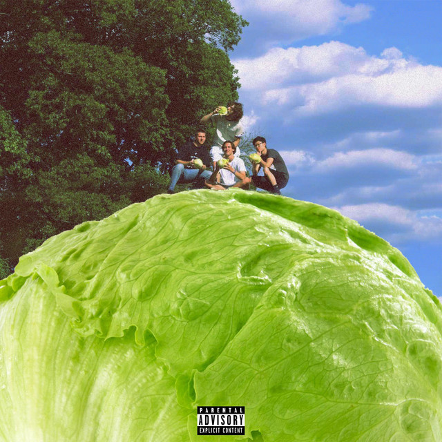 Lettuce cover art