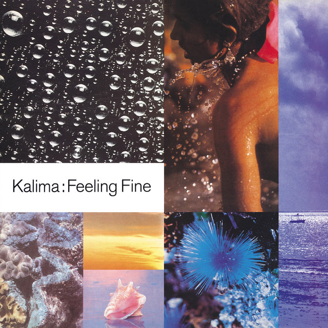 Feeling Fine cover art