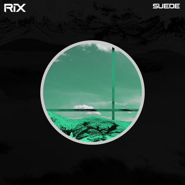 Suede cover art