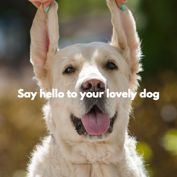 Say hello to your lovely dog cover art