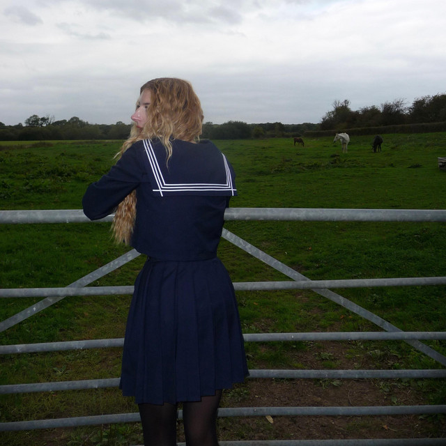 white horse cover
