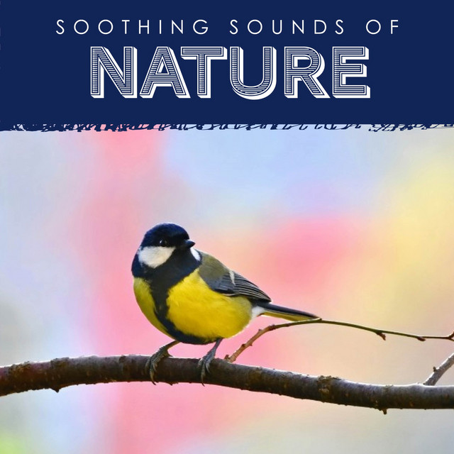 Soothing Sounds of Nature, Vol. 3 - Compilation by Various Artists ...