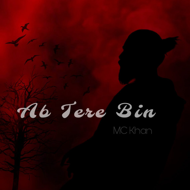Ab Tere Bin