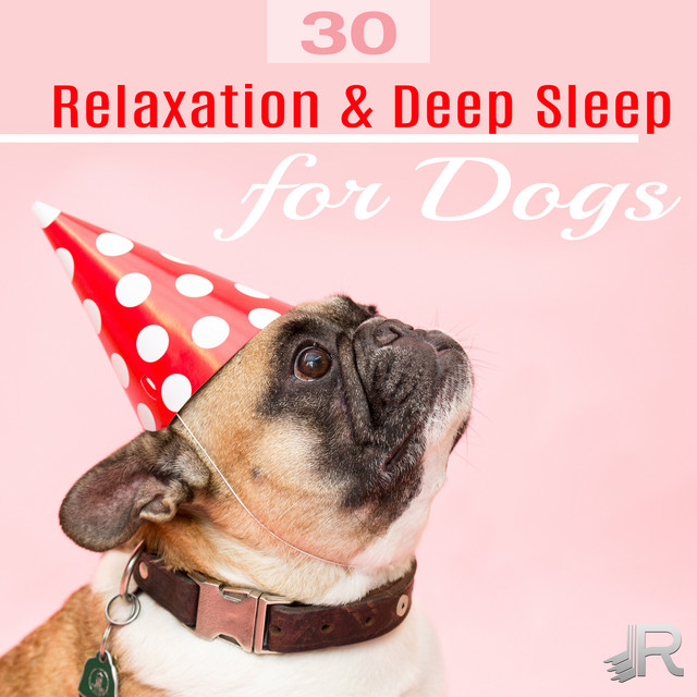 Relaxation & Deep Sleep for Dogs (30 Sounds Therapy for Your Puppies, Cure for Dogs Insomnia, Soothing Songs to Relieve Anxiety & Good Emotions) cover art