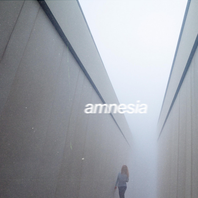 amnesia cover art