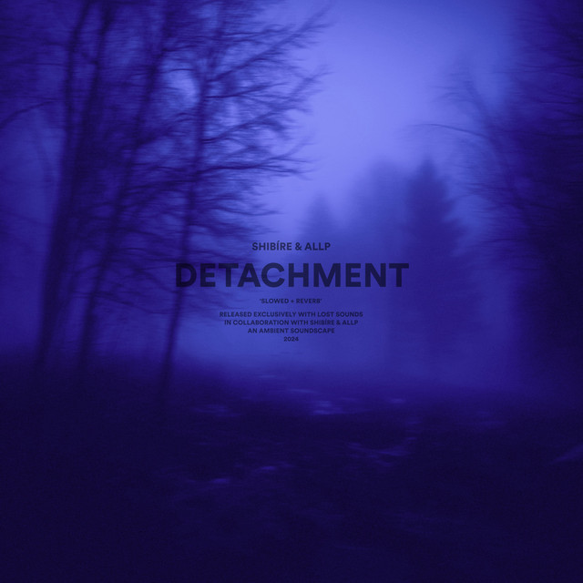 detachment (slowed + reverb)