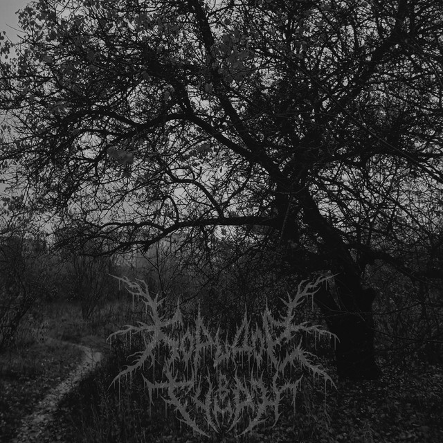 Обкладинка: Beginning — Koridor v Tuman