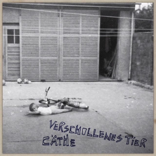 Verschollenes Tier cover art