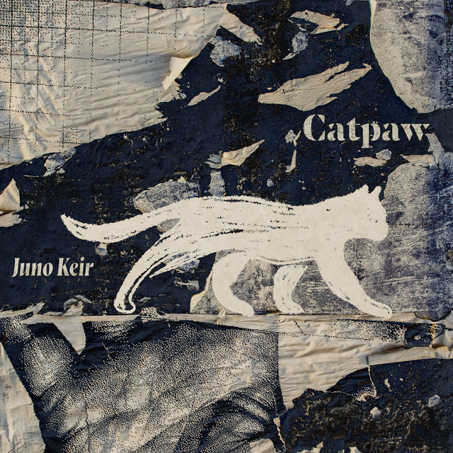 Catpaw cover art