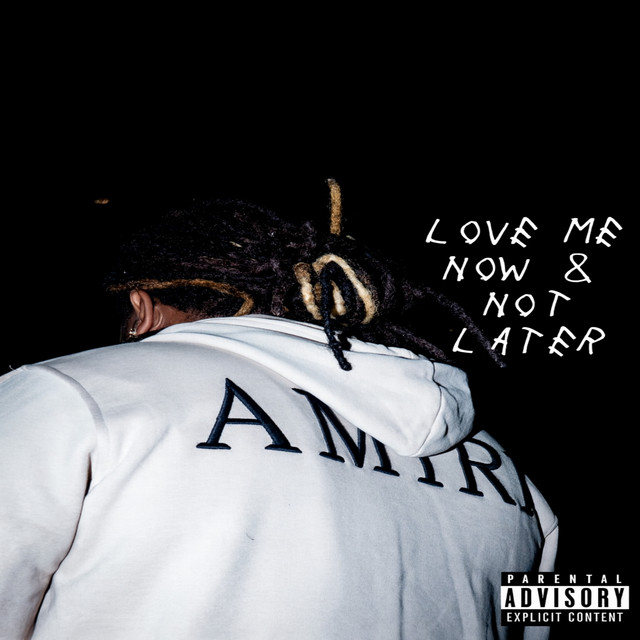 Love me Now & Not Later cover art