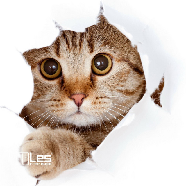 Обкладинка: Kids song — Lesfm
