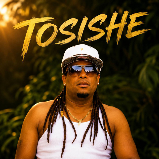 Tosishe album image