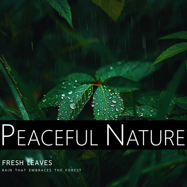 Peaceful Nature - Fresh Leaves: Rain That Embraces The Forest album image