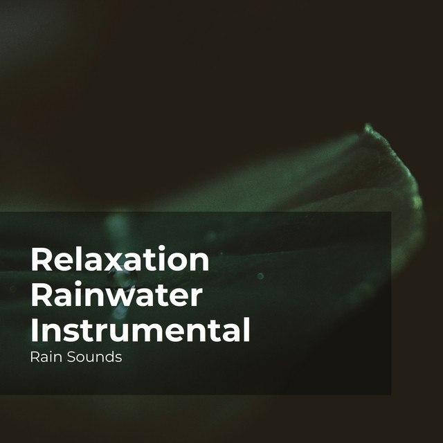 Relaxation Rainwater Instrumental - Album by Rain Sounds | Spotify