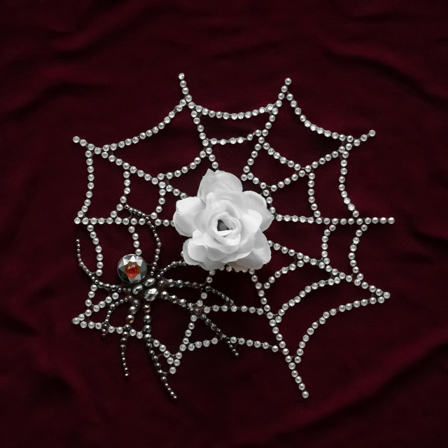 Spider cover art