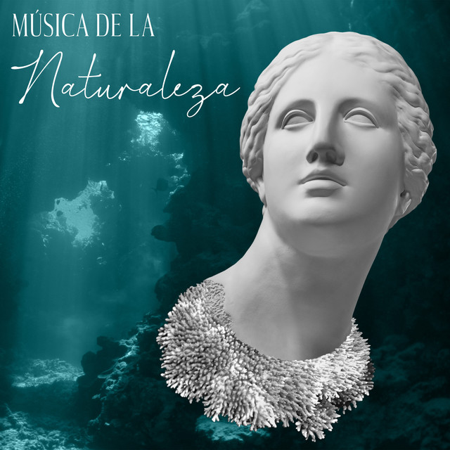 Música De La Naturaleza: Relajación Profunda, Calmarse, Alivio Del Estrés, Cura Del Insomnio, Terapia EMDR cover art