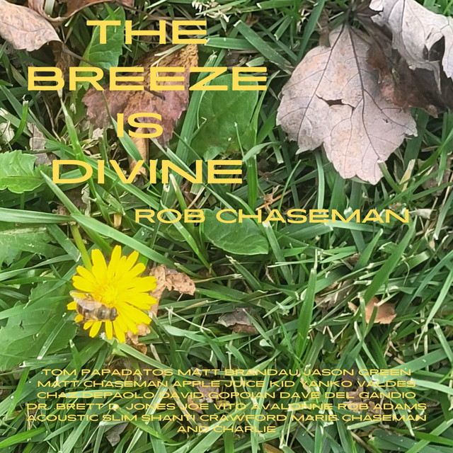 The Breeze Is Divine cover art