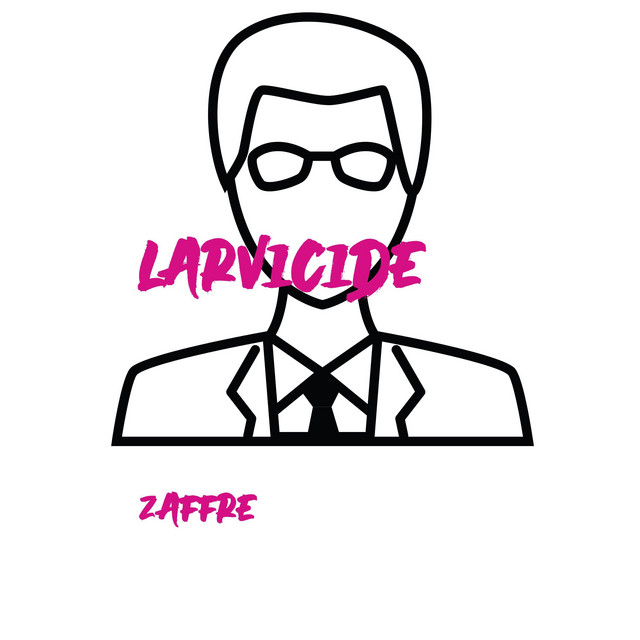 Zaffre | Spotify