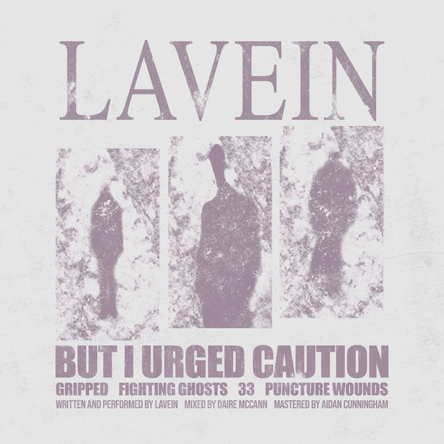 But I Urged Caution cover art