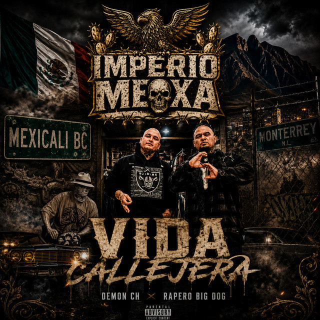 Vida callejera