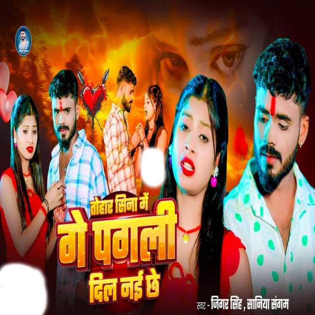 Tohar Sina Me Ge Pagli Dil Nai Chhe album image