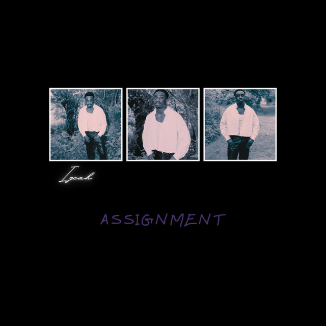 Assignment cover art