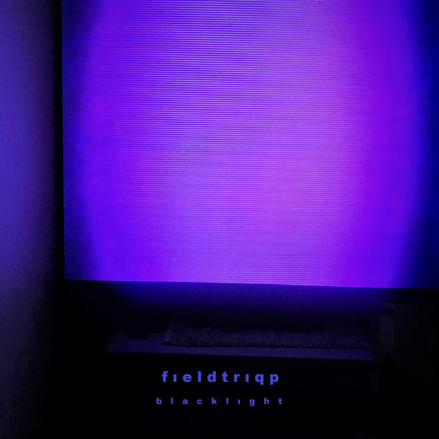 Blacklight cover