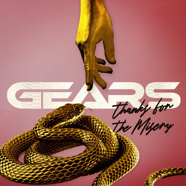 Thanks For The Misery cover art