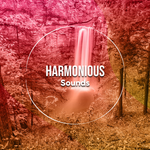 #2018 Harmonious Sounds for Reiki & Relaxation cover art