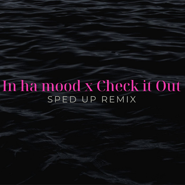 In Ha Mood x Check It Out (Sped Up) [Remix] cover art