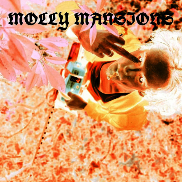 MOLLY MANSIONS cover art