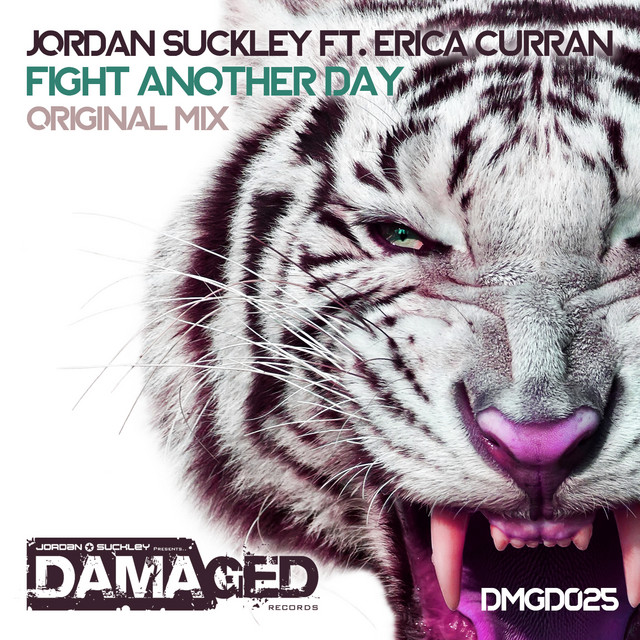 Fight Another Day feat. Erica Curran album art