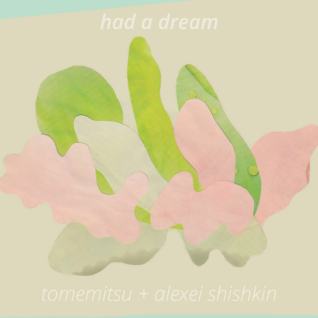 Had a Dream cover
