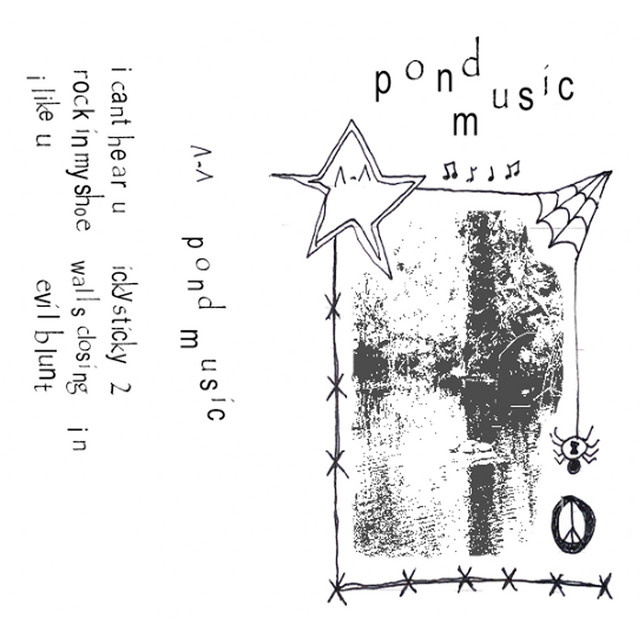 pond music cover art
