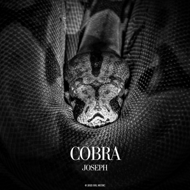 Joseph – Cobra