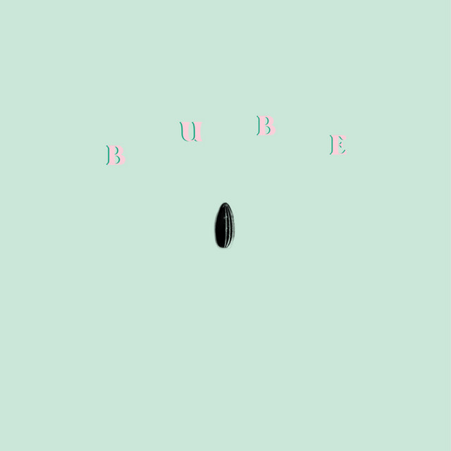 PIPA cover art