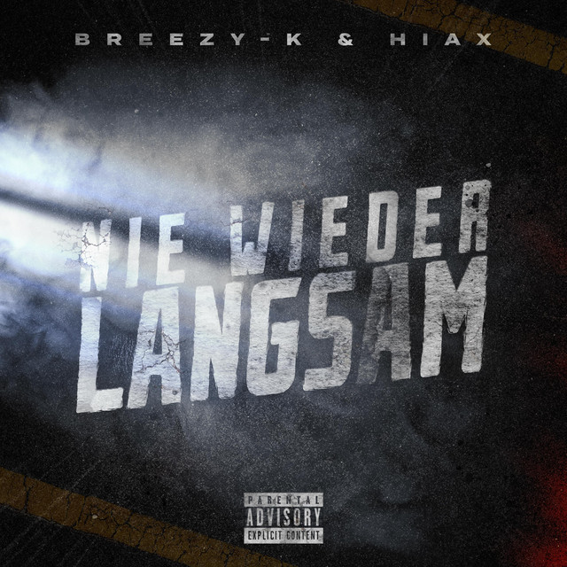 Nie wieder langsam cover
