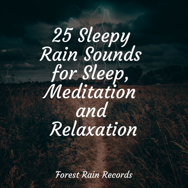 25 Sleepy Rain Sounds for Sleep, Meditation and Relaxation - Album by ...