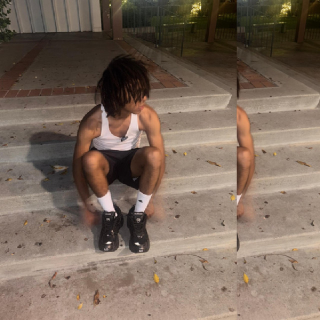 loxan archive