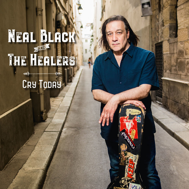 Neal Black & The Healers photo