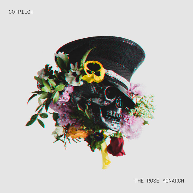 Co-Pilot cover