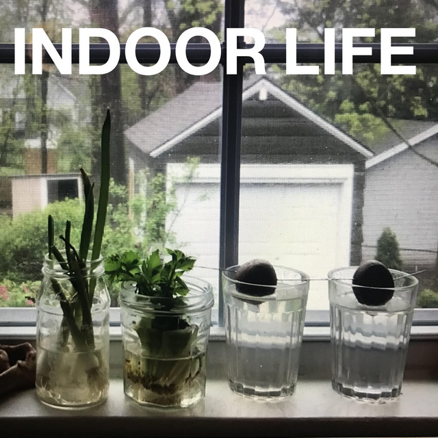 Indoor Life cover art